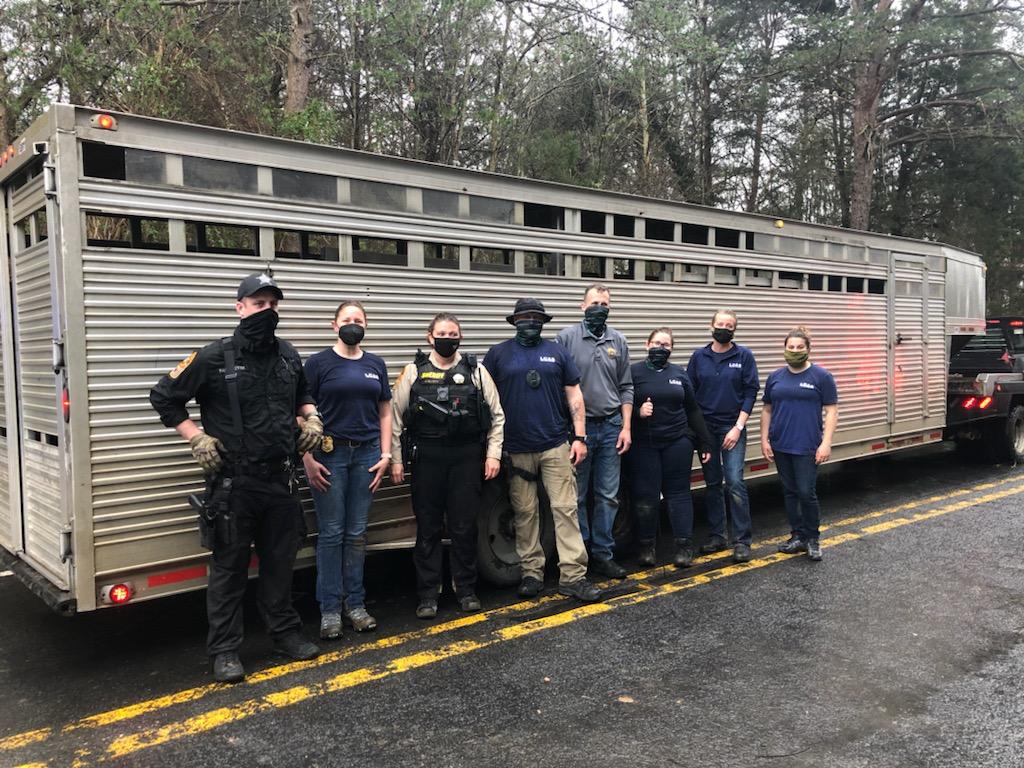 Authorities seize 16 dogs from Louisa County home NewsRadio WINA