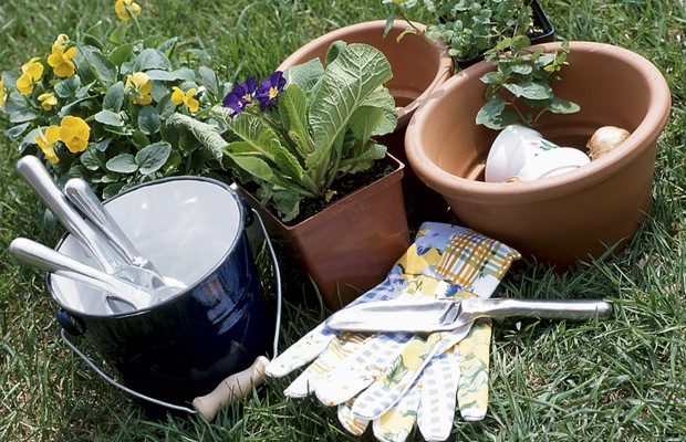 Historic Garden Week