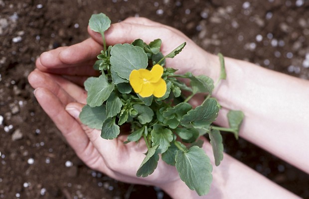 Anita Showers and Jill Trishman-Marks