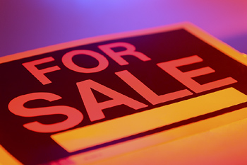 Government Ethics in Land Purchasing | CRN Government Ethics in Land Purchasing | CRN