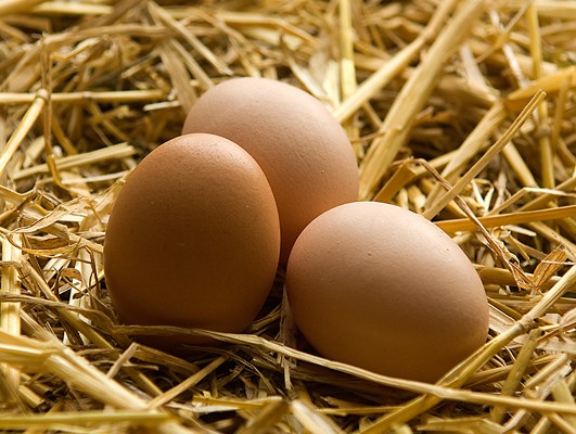 This Week in City Government with Sean Tubbs | CRN