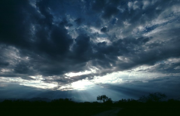 Author Willie Randolph