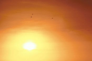 Want Solar? Solarize Returns | Chris Miller