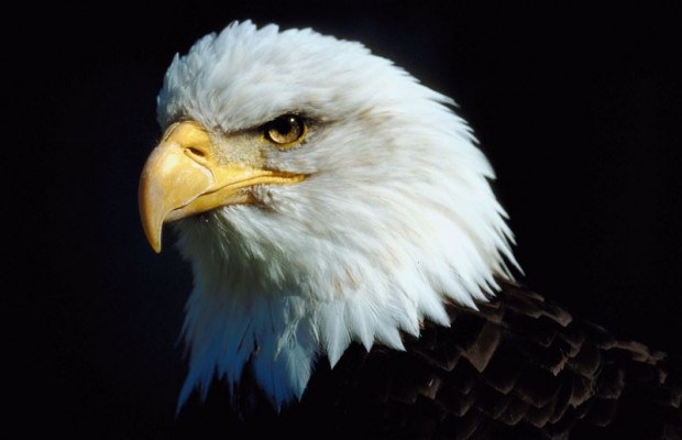 The Schilling Show 2/23/18 Hour 2: LIVE from CPAC