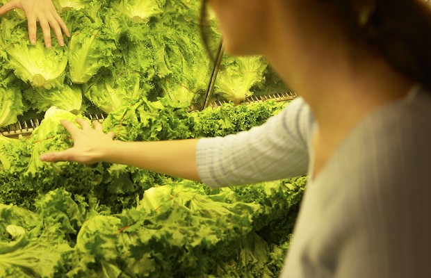 The Schilling Show 6/20/18 Hour 2: Dr. Marilyn Singleton, Lisa Provence