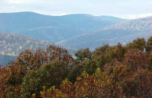 Wendy Edwards Wendy Edwards