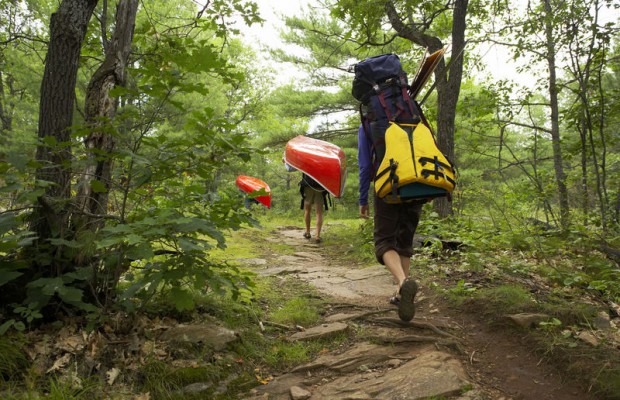 Info: Ticks and Lyme Disease | David Gaines