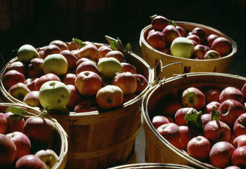 BUSINESS UNUSUAL: The Orchards Pivot in the time of COVID-19 BUSINESS UNUSUAL: The Orchards Pivot in the time of COVID-19