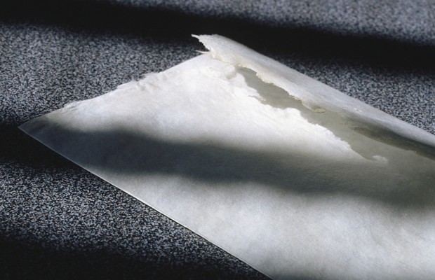 Updates on Mail Stoppage and the Virginia Crime Lab | CRN