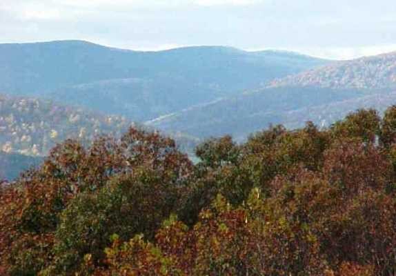 Rex Linville and Kristie Kendall