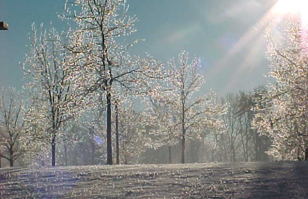 Dr. Catherine Bonham