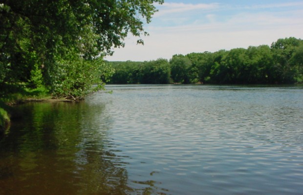 Life Solutions 11.5.17