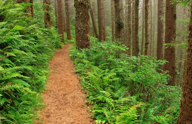 Alfred Goossens and Don Hearl