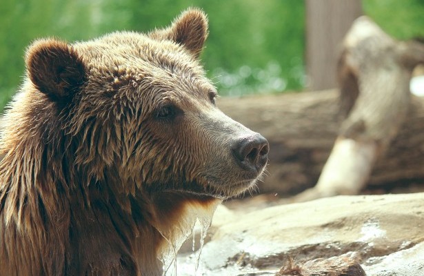 Beverly Butler Beverly Butler