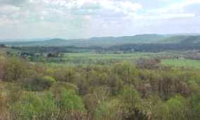 The Latest from the Board of Supervisors with Bea LaPisto-Kirtley | CRN