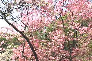 The Schilling Show 3/4/19 Hour 1: Congressman Denver Riggleman VA-05, Ashton Ryan and TD Layman The Schilling Show 3/4/19 Hour 1: Congressman Denver Riggleman VA-05, Ashton Ryan and TD Layman