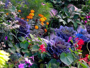 McIntire Botanical Garden