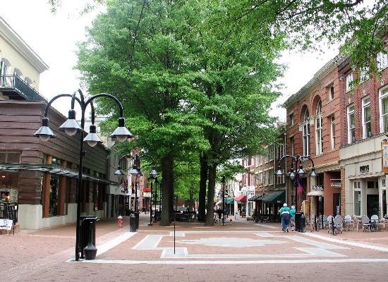 Kayli Wren: Controversy Surrounds Seating Downtown