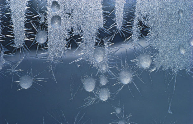 Frank Straight | Area Winter Weather Frank Straight | Area Winter Weather