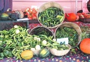 Sarah Parrault: The Old Farmer’s Almanac