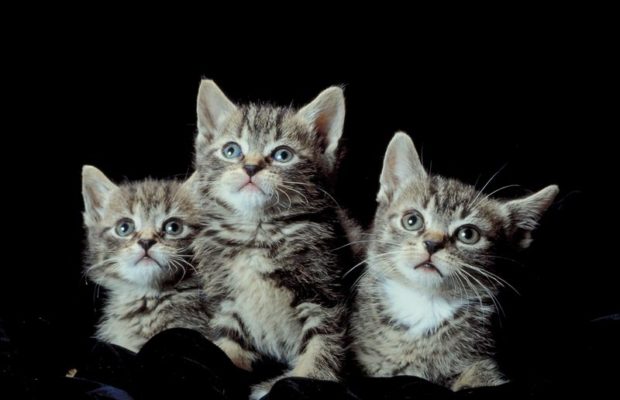 Angie Gunter Angie Gunter