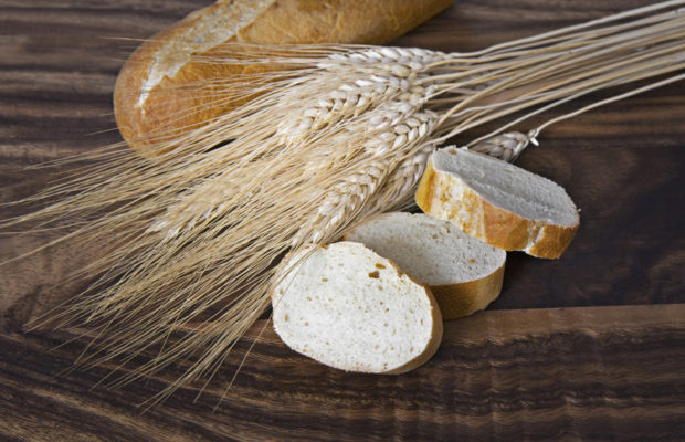 Dr. Katherine Basbaum