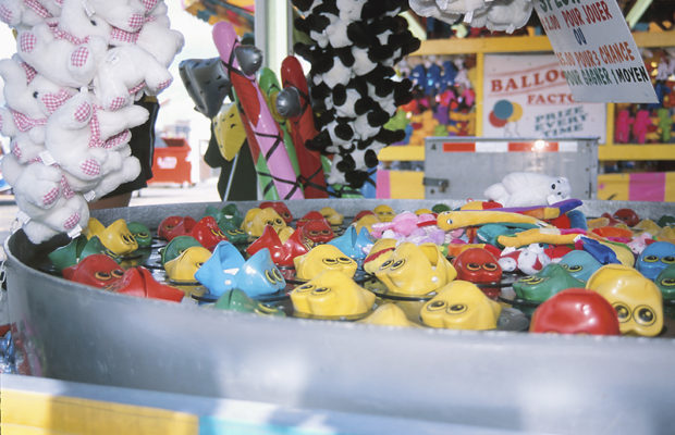Changing Snoddy: Fluvanna County Fair