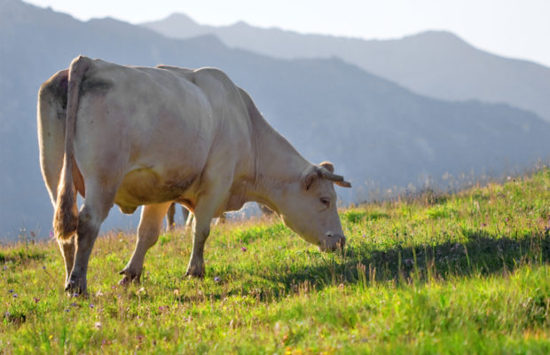 The Schilling Show 1/26/18 Hour 2: Christine Solem, Richard Fields, Phil Kerpen