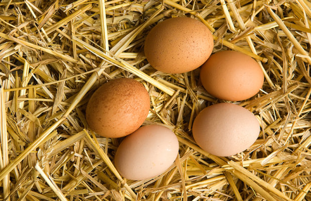 Top 5 Soundbites of the Week Top 5 Soundbites of the Week