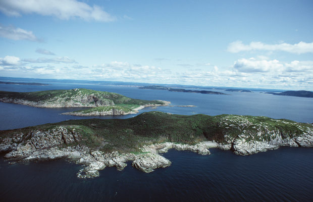 The Schilling Show 8/1/17 Hour1: Dr. Charles Battig