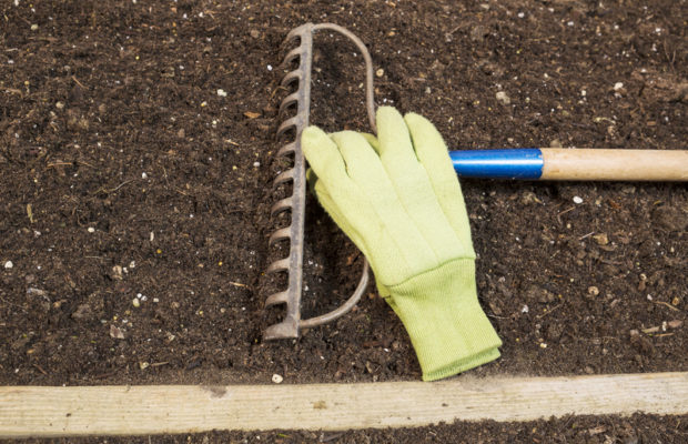 Future Public Housing Sites and More with Sean Tubbs | CRN