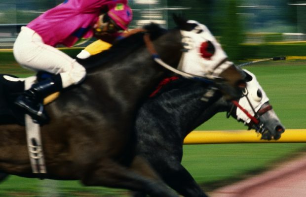 Karen Dick: Foxfield Family Day Update