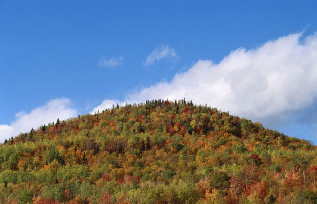 John Kelly | Building Goodness in April