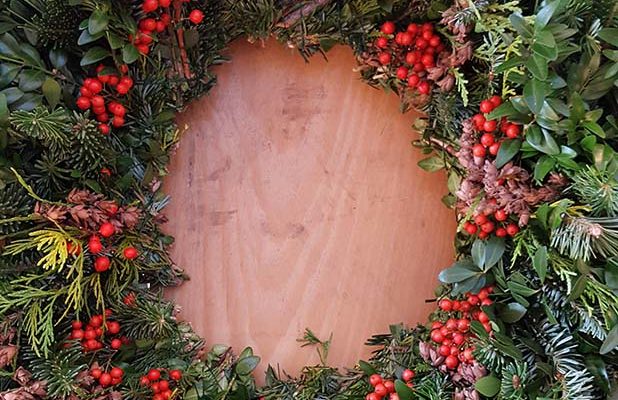 Blue Star Families of Central Virginia | Jacqui Checalupo