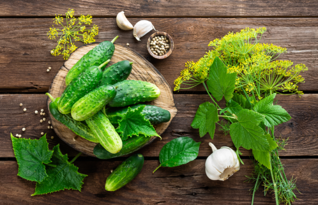 Micro Farm wins  Dominion Energy Innovation Center pitch competition | Alexander Olesen
