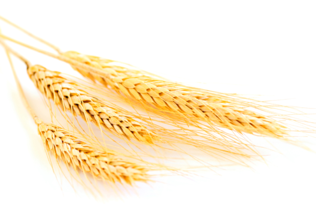 The Schilling Show 3/2/18 Hour 1: Richard Fox