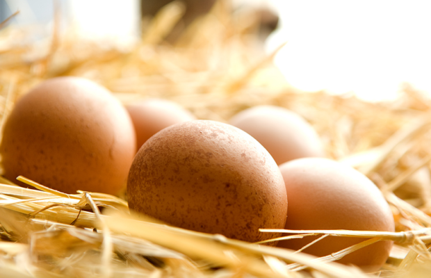 The Schilling Show 4/23/18 Hour 2: Brigitte Gabriel, Kathleen and Tom Muhlbauer