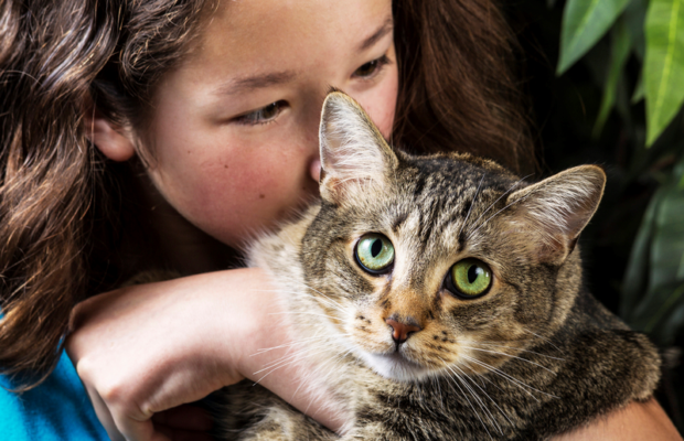 CASPCA Interim Executive Director Sue Friedman | CRN CASPCA Interim Executive Director Sue Friedman | CRN