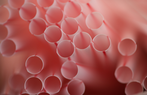 The Schilling Show 11/30/18 Hour 2: Frank Cullen, Raheel Raza, Jarrett Stepman