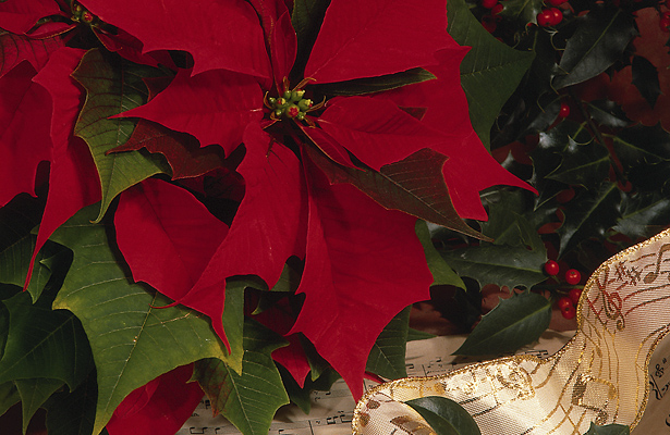 The Schilling Show 12/24/18 Hour 2: Christmas with Carole, Rob, and the Kids