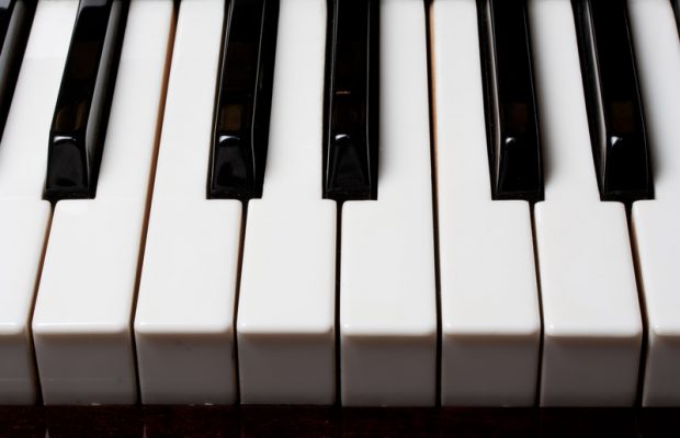 Access Arts Charlottesville/Albemarle Music Concert | Sarah Blech