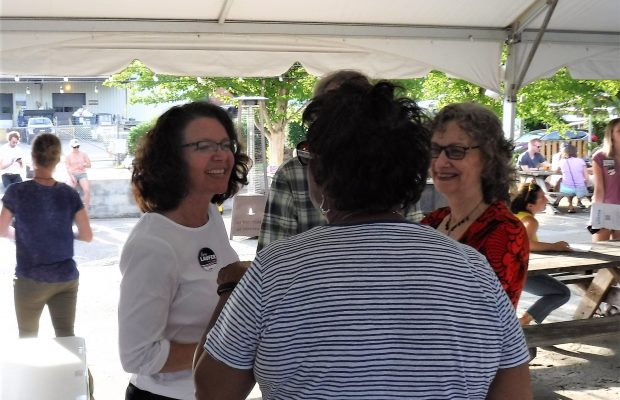 Candidate for the 55th District House of Delegates Seat – Amy Laufer