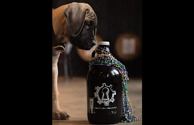 Autumn Trails Veterinary Center Presents: Mardi Paws 2020! Autumn Trails Veterinary Center Presents: Mardi Paws 2020!