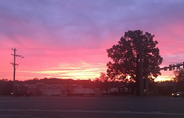 Near-Death Research with P.M.H. Atwater | CRN