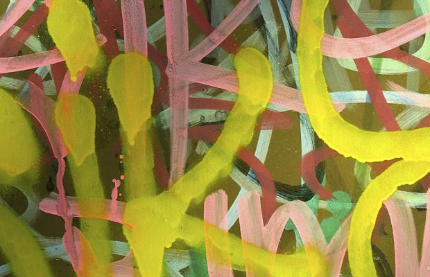 Trading Spaces: Rob and Courteney on Local Vandalism | CRN