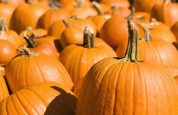 The Schilling Show 10/30/20: Zack Smith, Bob Good