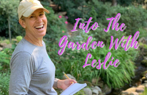 Week One Into the Garden with Leslie Week One Into the Garden with Leslie