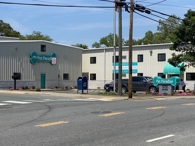 Pet Paradise honors city firefighters at Thursday afternoon block party