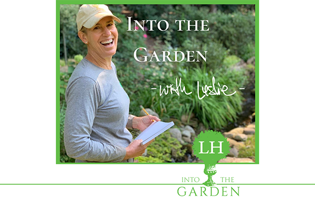 Into the Garden with Leslie Week 35