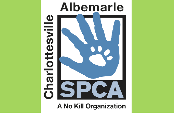 Top Stories with WINA’s Courteney Stuart